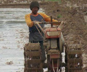 Tarif traktor dinilai mahal