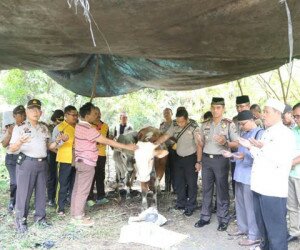 Kapolres Metro Jakarta Pusat Kombes Dwiyonoi memberikan hewan kurban pada TNI, Polri dan masyarakat.(Silaen)
