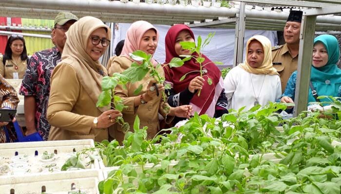 Tim verifikasi Lomba Kota Sehat saat meninjau RW 09 Kelurahan Ciracas. (Ifand)