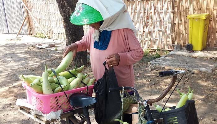 Penjual waluh putih berkeliling naik sepeda onthel. (taryani)