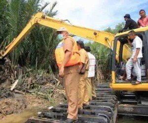 Alat berat melakukan pengorekan untuk menguburkan ratusan bangkai babi