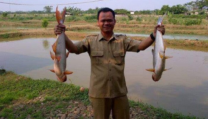 Camat Tambun Selatan, Junefi. (saban)