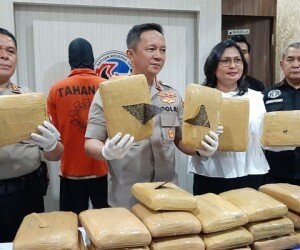 Puluhan ganja yang diamankan dari 2 pengedar.(adji)