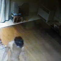 Seorang pencuri bertelanjang bulat terekam CCTV. (ist)