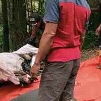 mayat laki-laki dalam koper di Kampung Teluk Waru