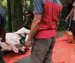 mayat laki-laki dalam koper di Kampung Teluk Waru