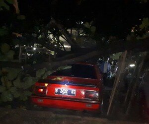 Pohon tumbang di UP yang menimpa dua mobil. (wandi)