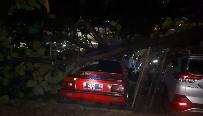 Pohon tumbang di UP yang menimpa dua mobil. (wandi)