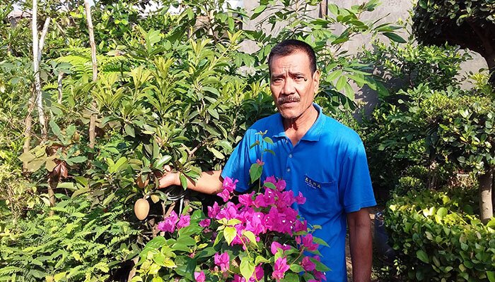 Nono Carim menunjukkan buah sawo di lapak penjualan. (taryani)