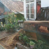 barang-barang yang terbakar dalam kamar dikeluarkan keluarga korban.