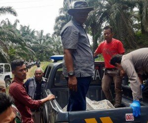 Polisi mengevakuasi jenazah pria yang ditemukan tewas tanpa celana di dalam mobil di Cibadak, Sukabumi.