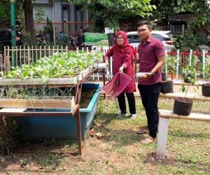 uti Sutirah, Koordinator RPTRA Smart bersama tim sedang memberi makan di kolam budidaya lele di taman produktif RPTRA Smart, Meruya Utara, Jakbar. (rachmi)