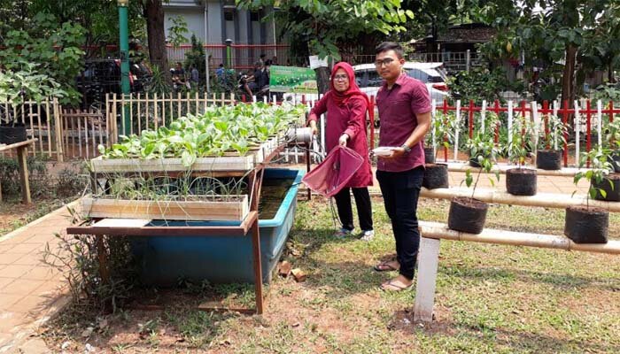 uti Sutirah, Koordinator RPTRA Smart bersama tim sedang memberi makan di kolam budidaya lele di taman produktif RPTRA Smart, Meruya Utara, Jakbar. (rachmi)