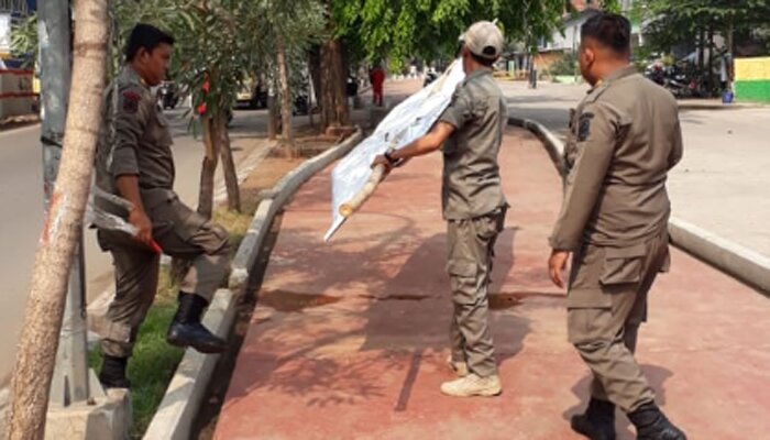 Petugas Sattpol PP mencabuti spanduk dipepohonan.(chotim)