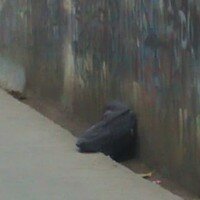 Tas yang diduga berisi bom (angga)