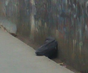 Tas yang diduga berisi bom (angga)