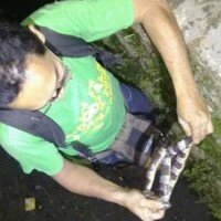 Anggota Sioux Kota Tangsel yang berhasil menangkap salah satu ular weling. (anton)