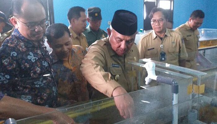 Wali Kota Depok Muhammad Idris saat melihat langsung kegiata budidaya ikan hias di kelompok peternak ikan hias di Bojongsari. (anton)