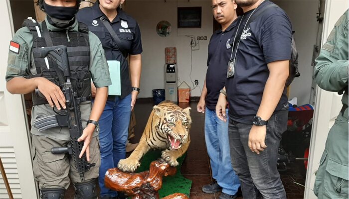 Polisi temukan sejumlah hewan langka diawetkan dari Pengusaha Abdul Malik pengemudi Lambhorgini yang todongi 2 Pelajar SMA di Kemang, Jaksel.(adji)