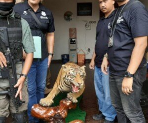 Salah satu hewan langka koleksi AM, pelaku penodongan 2 pelajar.(adji)
