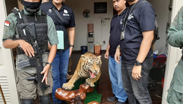 Salah satu hewan langka koleksi AM, pelaku penodongan 2 pelajar.(adji)