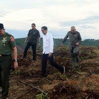 Presiden Jokowi saat meninjau lokasi bakal Ibukota negara baru di Kaltim.