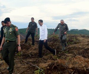 Presiden Jokowi saat meninjau lokasi bakal Ibukota negara baru di Kaltim.