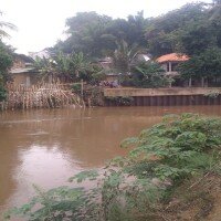 Kondisi Kali Ciliwung yang belum dinormalisasi. (ifand)