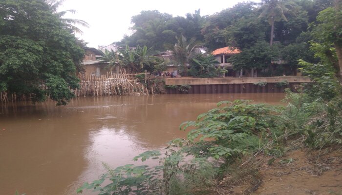 Kondisi Kali Ciliwung yang belum dinormalisasi. (ifand)