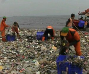 Petugas Sudin LH Kepulauan Seribu membersihkan sampah yang menumpuk di pesisir pantai KBN Cilincing. (deny)