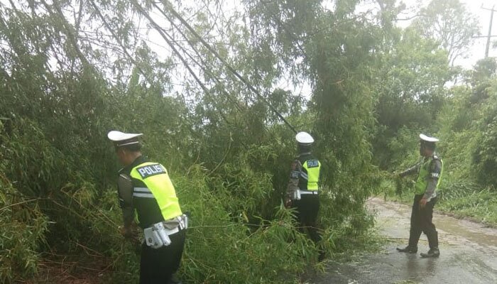 Anggota lantas menyingkirkan rumpun bambu yang menghalangi jalan.