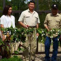 Ketua Yayasan Arsari Djojohadikusumo (YAD) Hashim Djojohadikusumo bersama Dirjen Konservasi dan Sumber Daya Alam dan Ekosistem (KSDAE) Wiratno saat meresmikan Pusat Suaka Orangutan (PSO) Arsari di Penajam Paser Utara, Kalimantan Timur