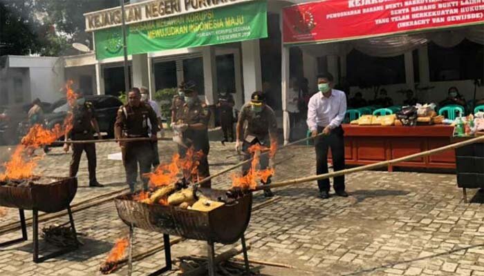 Pemusnahan barang bukti narkoba dari 241 kasus yang terjadi dalam kurun dua tahun terakhir. (ist)