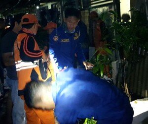 Petugas sedang mengamankan cobra yang berkeliaran.