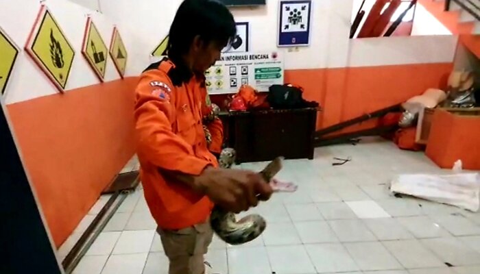 Ular sanca dan kobra ditangkap di sebuah perumahan di Kota Sukabumi. (sule)