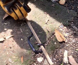 Salah satu ular cobra yang berhasil ditangkap anggota Damkar Kota Depok di kawasan Cilodong. (anton)